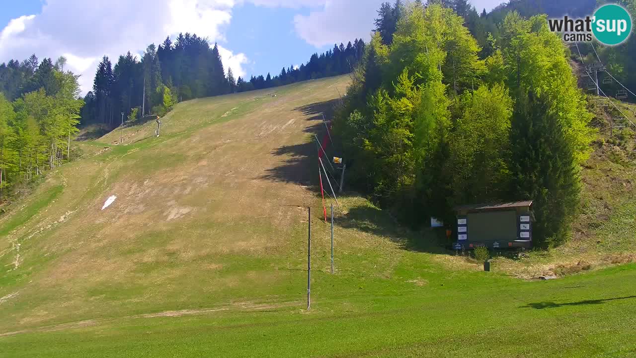 Podkoren / Kranjska Gora –  Meta Slalom gigante