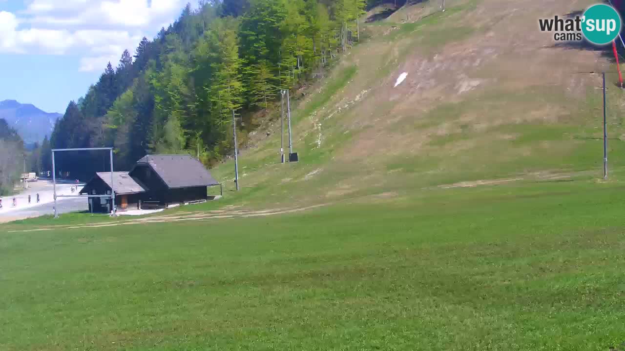 Podkoren slalom géant | Start – Kranjska Gora