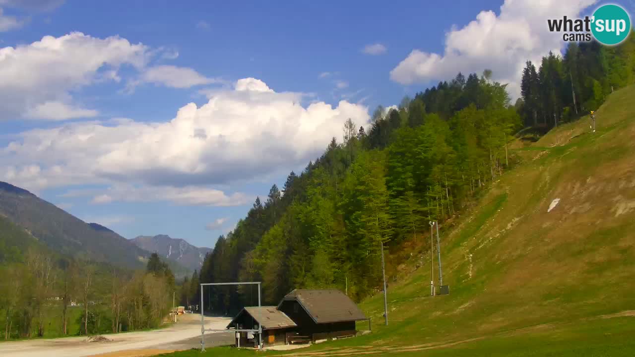Podkoren / Kranjska Gora – Cilj veleslaloma svjetskog kupa