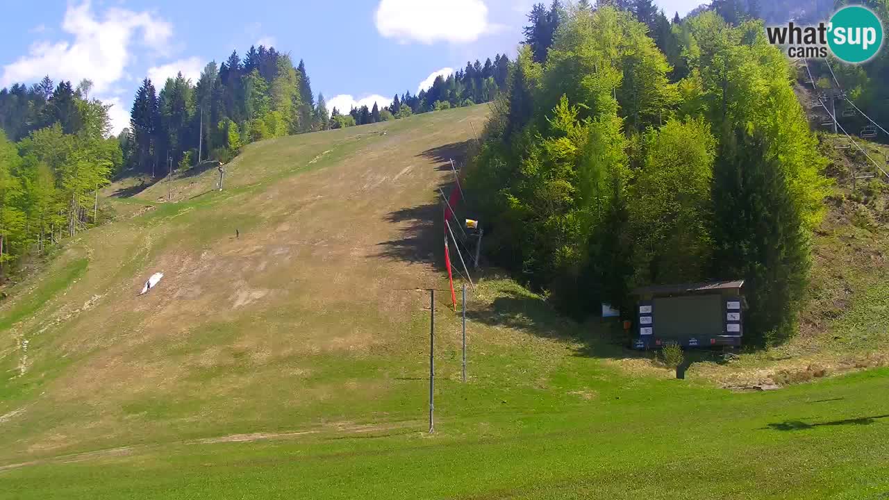 Podkoren / Kranjska Gora – Cilj veleslaloma svjetskog kupa