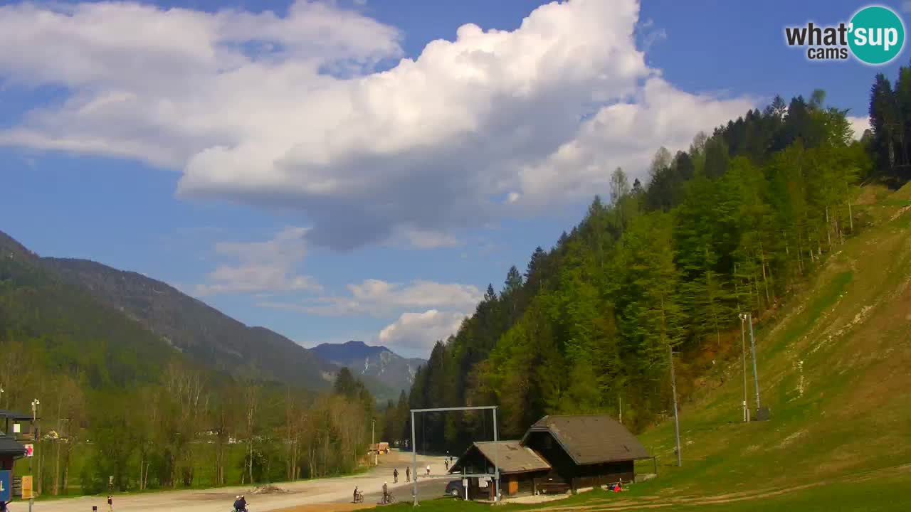 Podkoren / Kranjska Gora –  Meta Slalom gigante