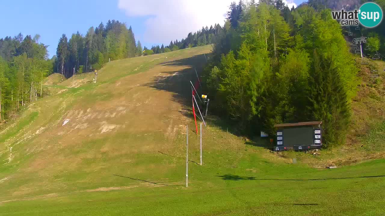 Podkoren / Kranjska Gora – Cilj veleslaloma svjetskog kupa