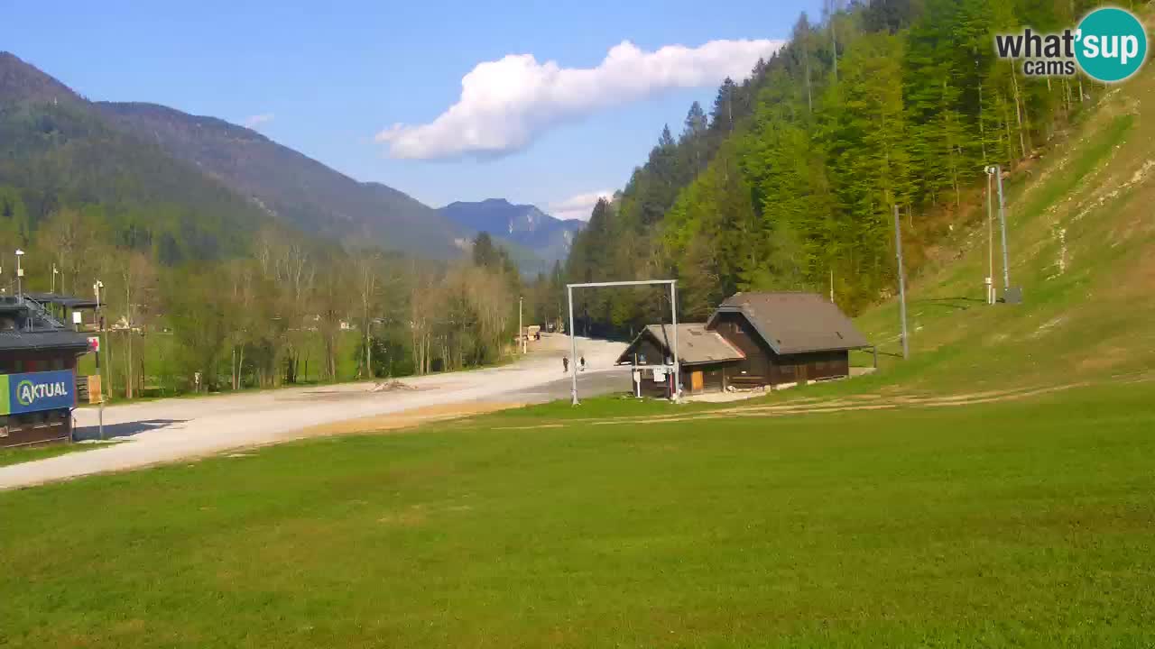 Podkoren / Kranjska Gora – Ziel Riesenslalom