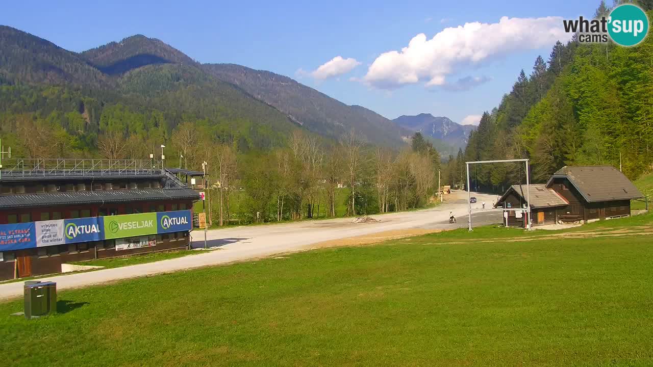 Podkoren / Kranjska Gora – Arrivo slalom gigante