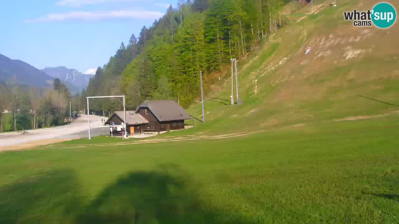 PODKOREN Kamera | Smučišče Podkoren – Kranjska Gora v ŽIVO
