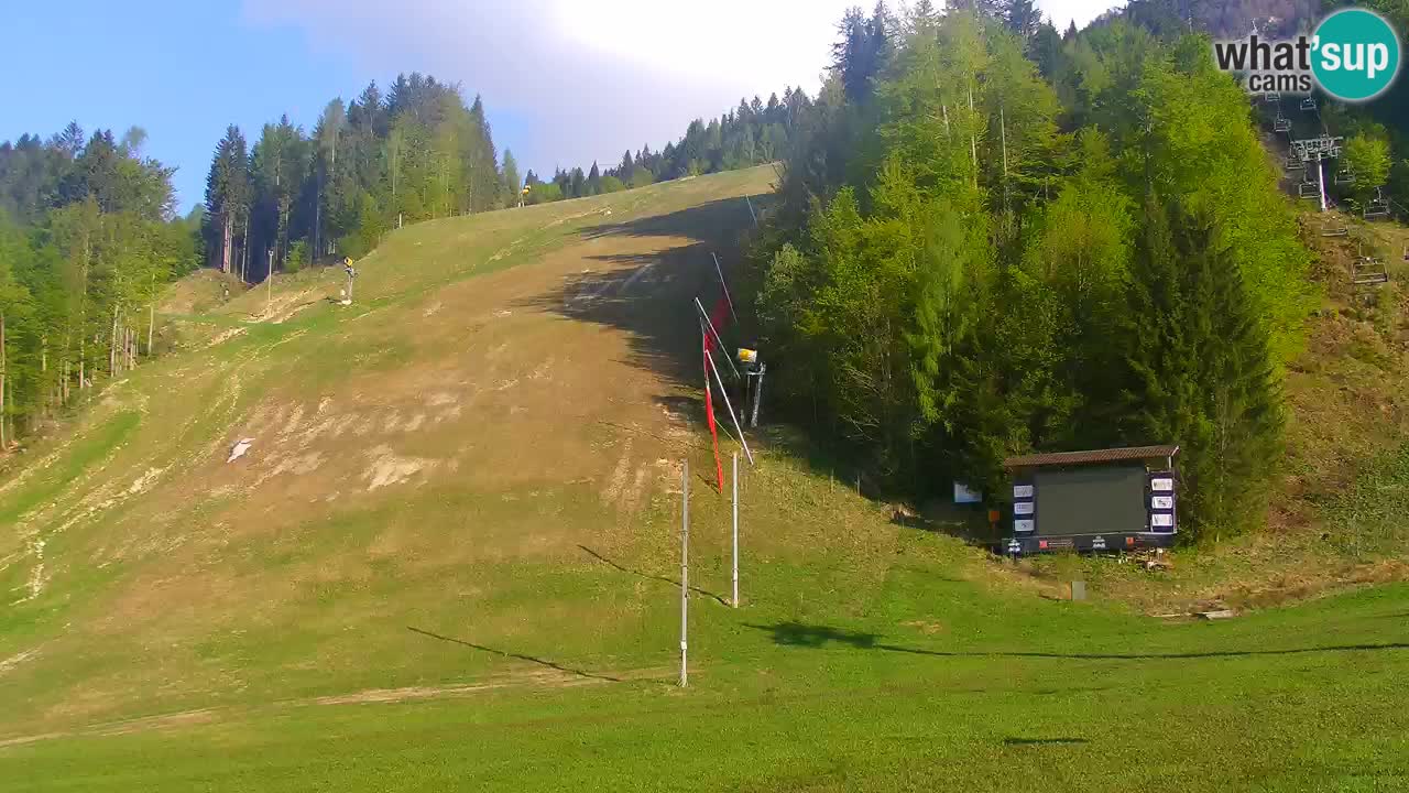 Podkoren / Kranjska Gora – Arrivo slalom gigante