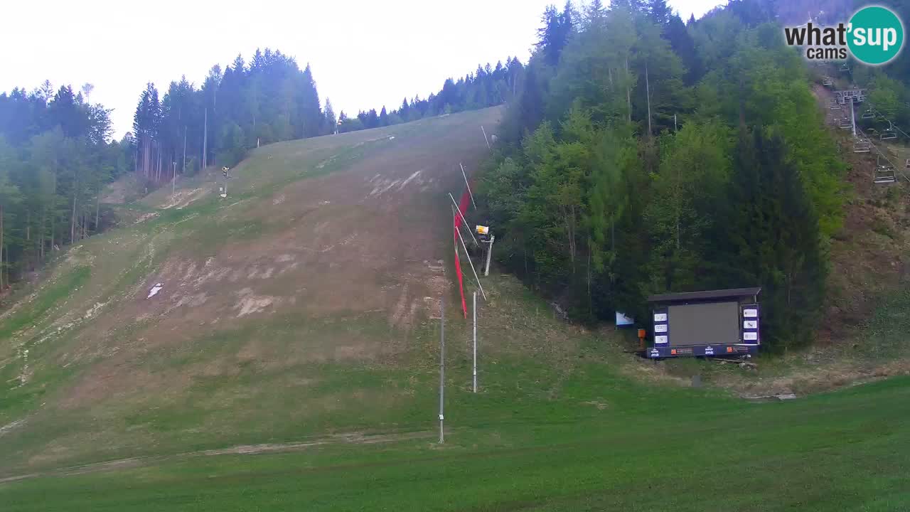 PODKOREN Kamera | Smučišče Podkoren – Kranjska Gora v ŽIVO