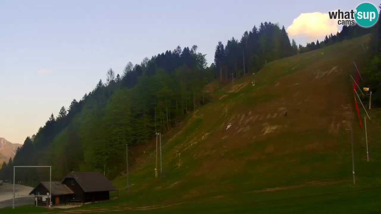 Podkoren / Kranjska Gora –  Meta Slalom gigante