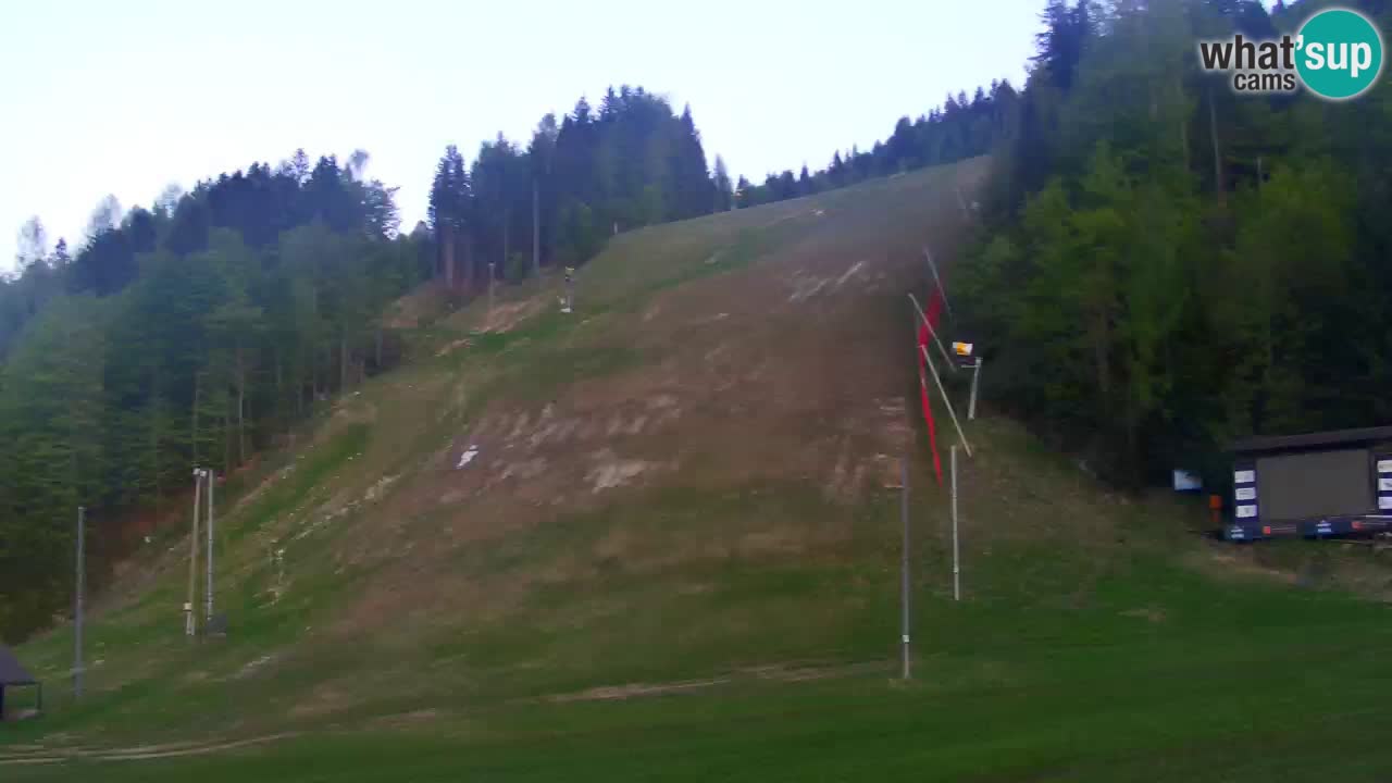 Podkoren / Kranjska Gora –  Meta Slalom gigante