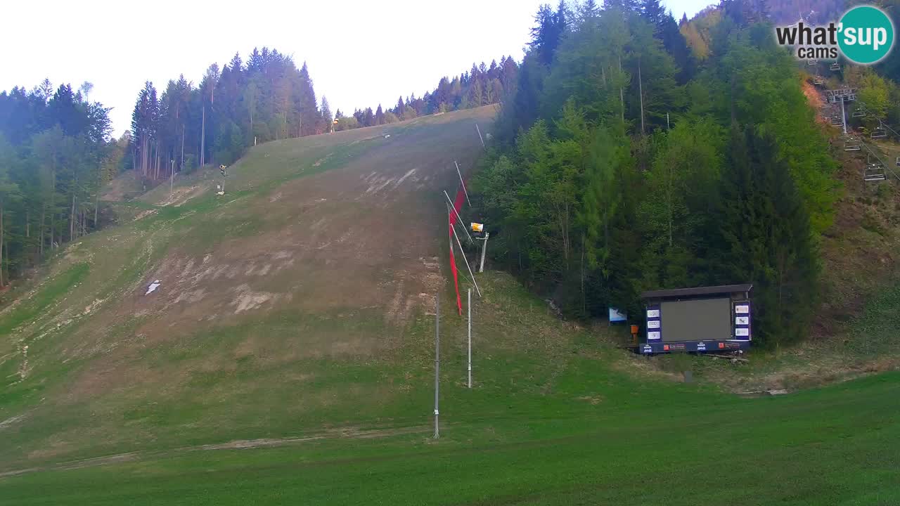 Podkoren / Kranjska Gora – Arrivee slalom géant