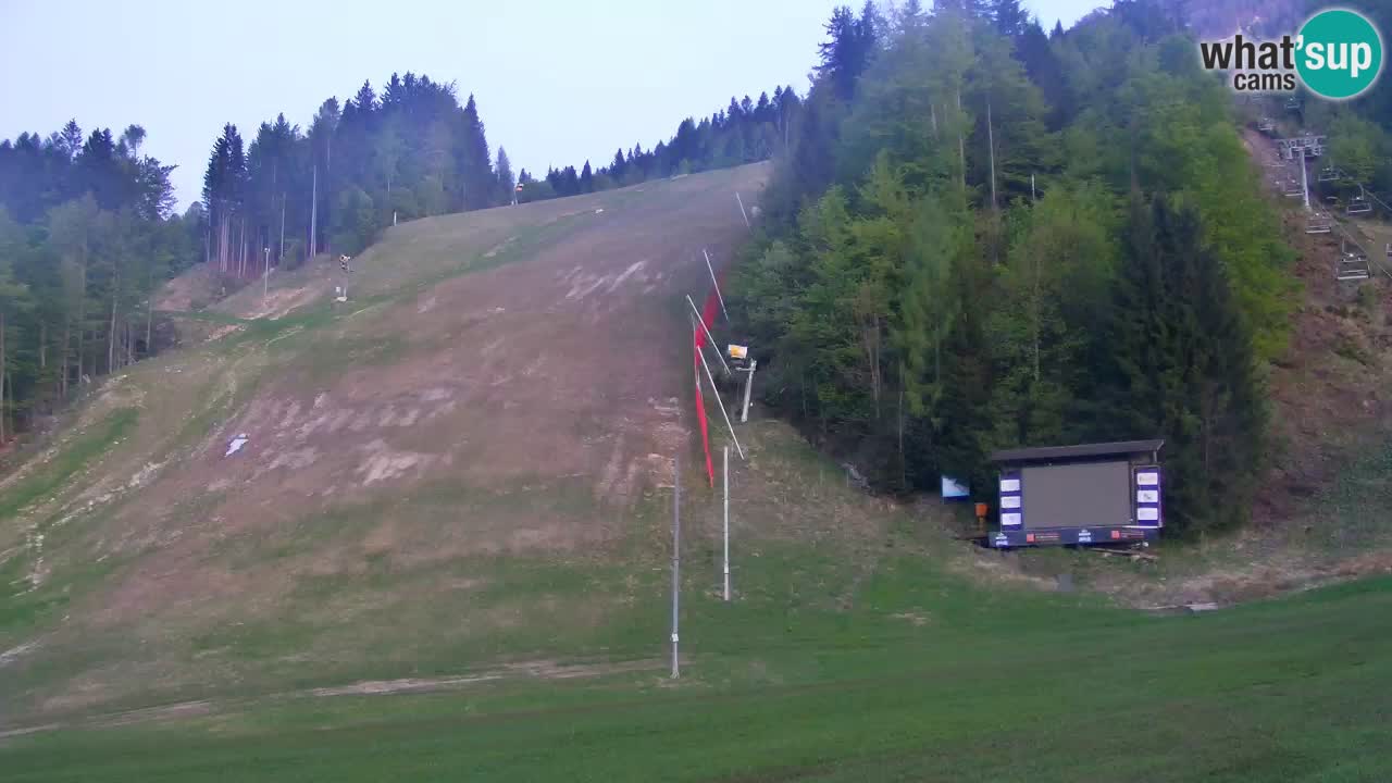 PODKOREN Kamera | Smučišče Podkoren – Kranjska Gora v ŽIVO