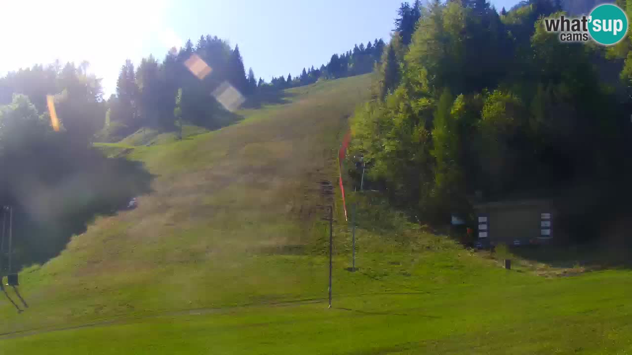 Podkoren / Kranjska Gora – Arrivo slalom gigante