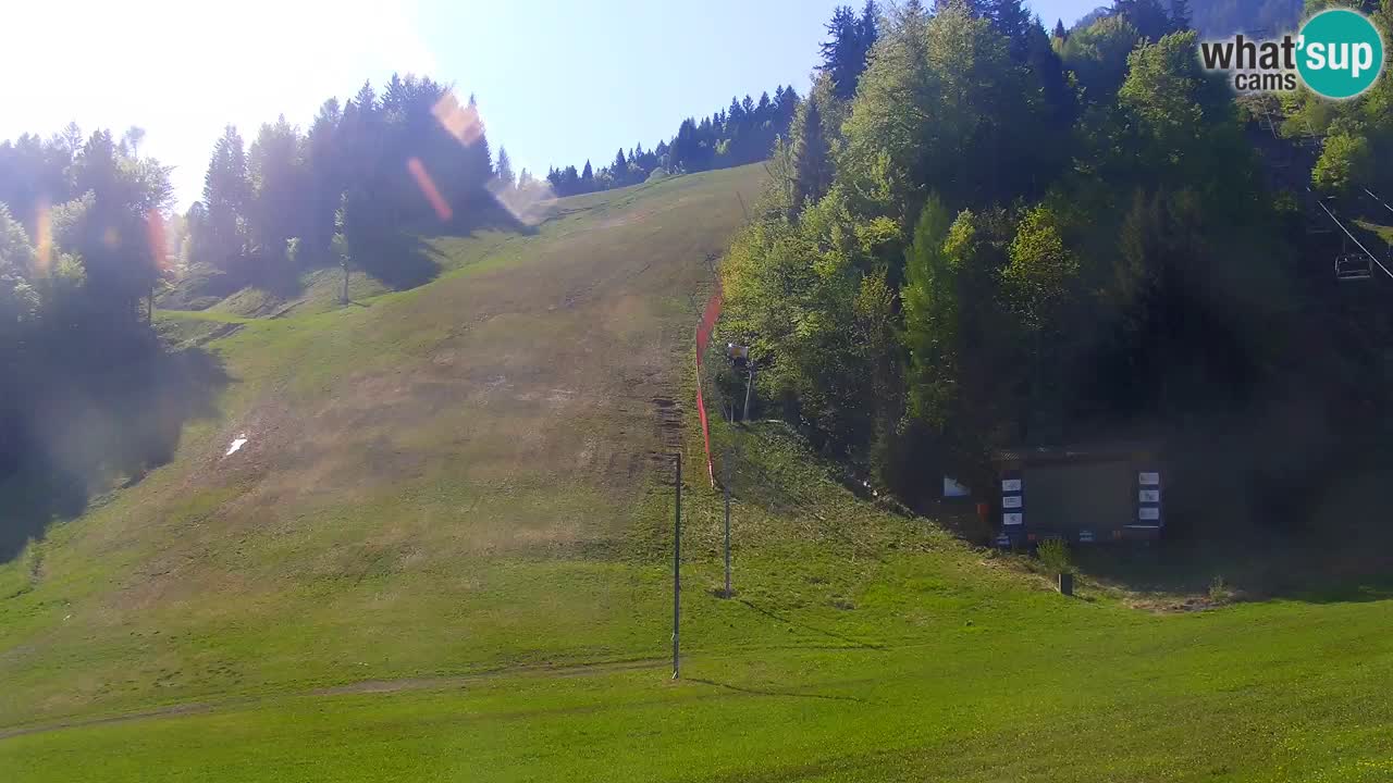 Podkoren / Kranjska Gora –  Meta Slalom gigante