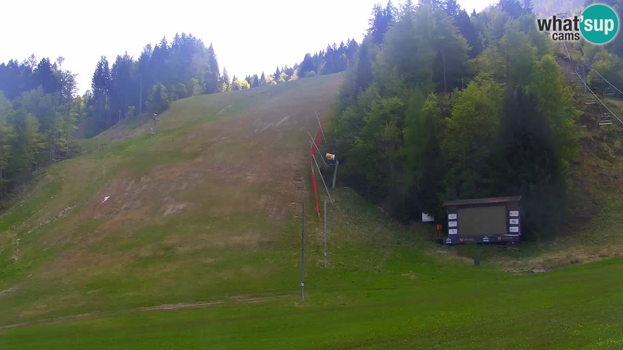 Podkoren / Kranjska Gora – Arrivo slalom gigante