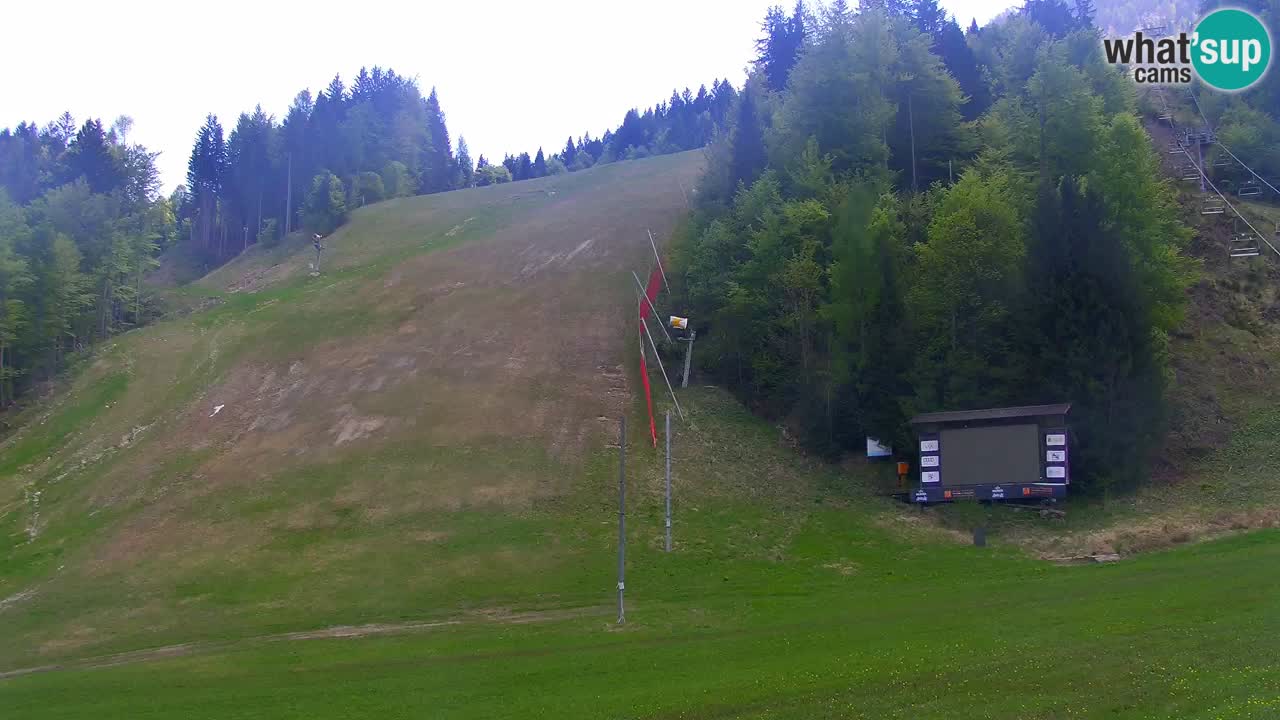 Podkoren / Kranjska Gora –  Meta Slalom gigante