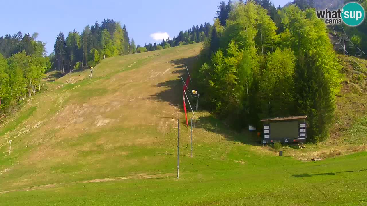 Podkoren / Kranjska Gora – Arrivee slalom géant