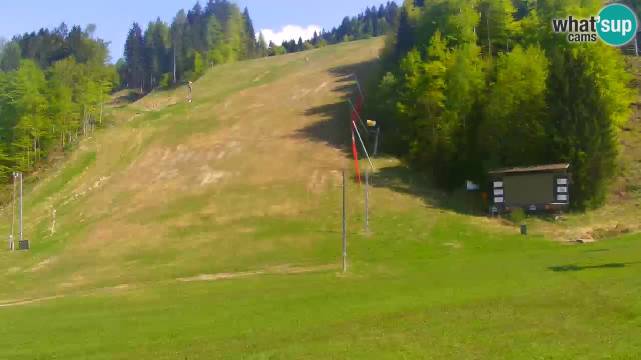 Podkoren / Kranjska Gora – Ziel Riesenslalom