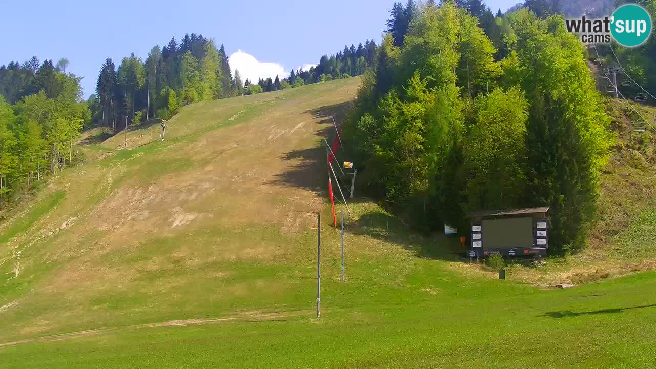 Podkoren / Kranjska Gora –  Meta Slalom gigante