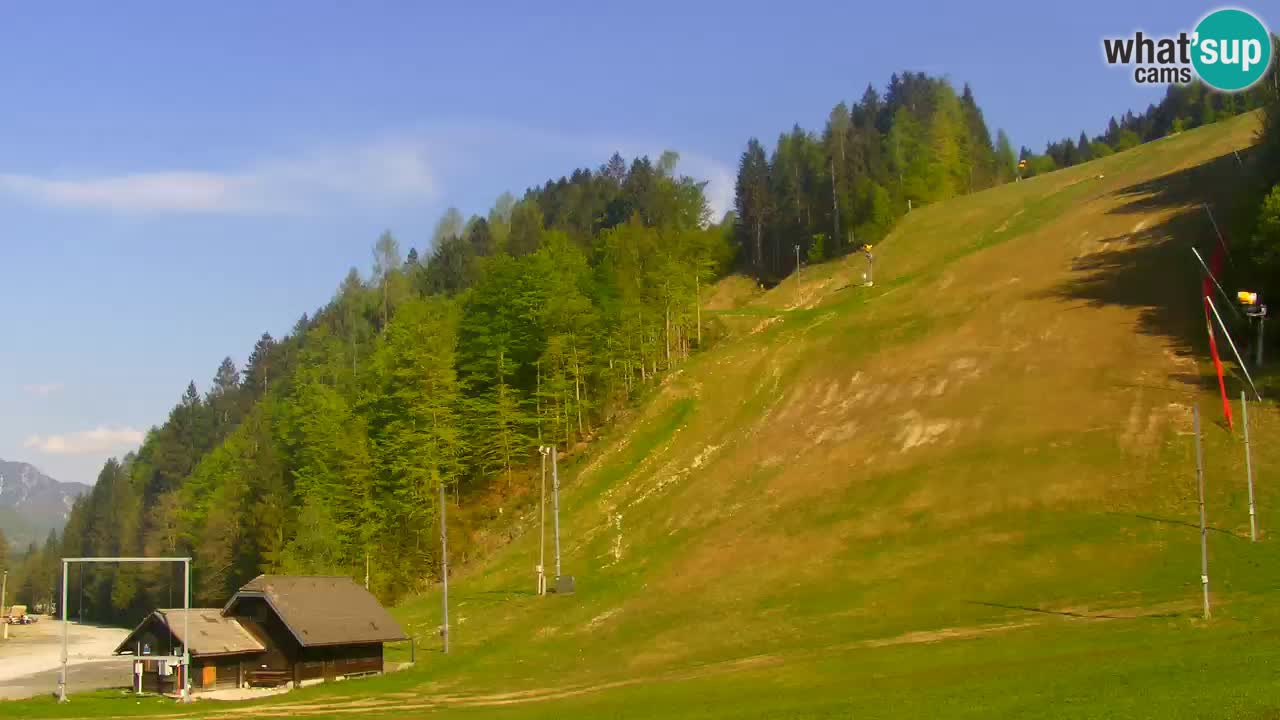 PODKOREN Kamera | Smučišče Podkoren – Kranjska Gora v ŽIVO