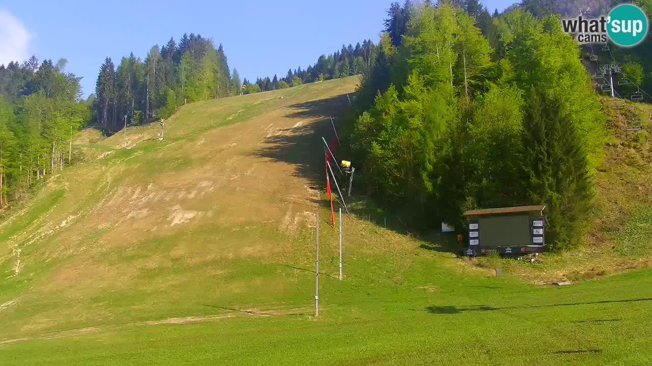 Podkoren / Kranjska Gora – Arrivo slalom gigante