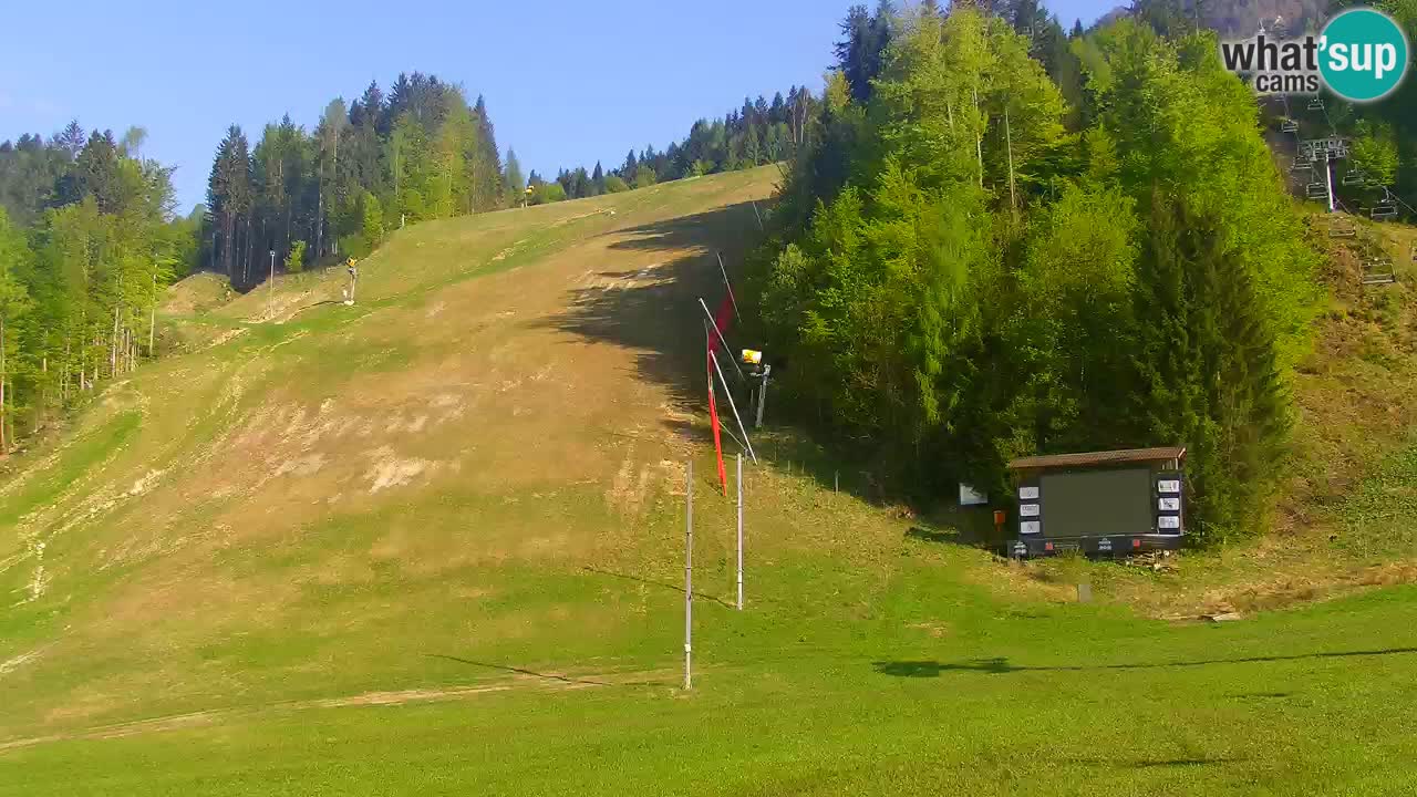 Podkoren / Kranjska Gora – Arrivo slalom gigante