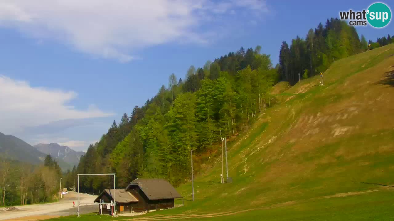 Podkoren / Kranjska Gora – Arrivo slalom gigante