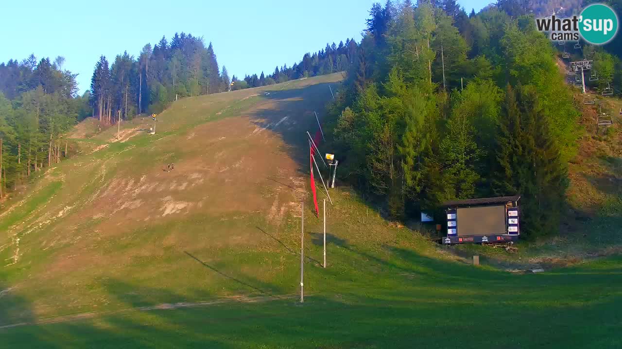 Podkoren slalom géant | Start – Kranjska Gora