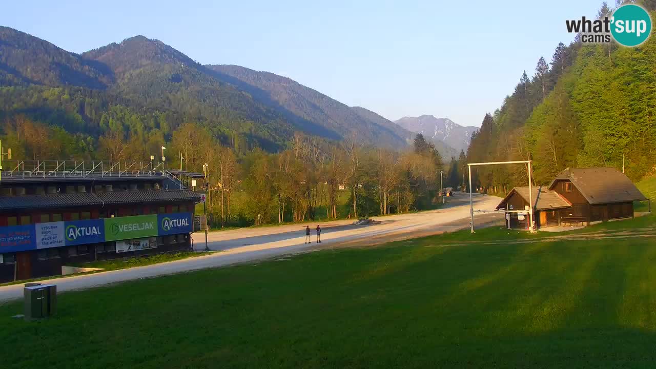 Podkoren Webcam Kranjska Gora | Finish of Giant slalom