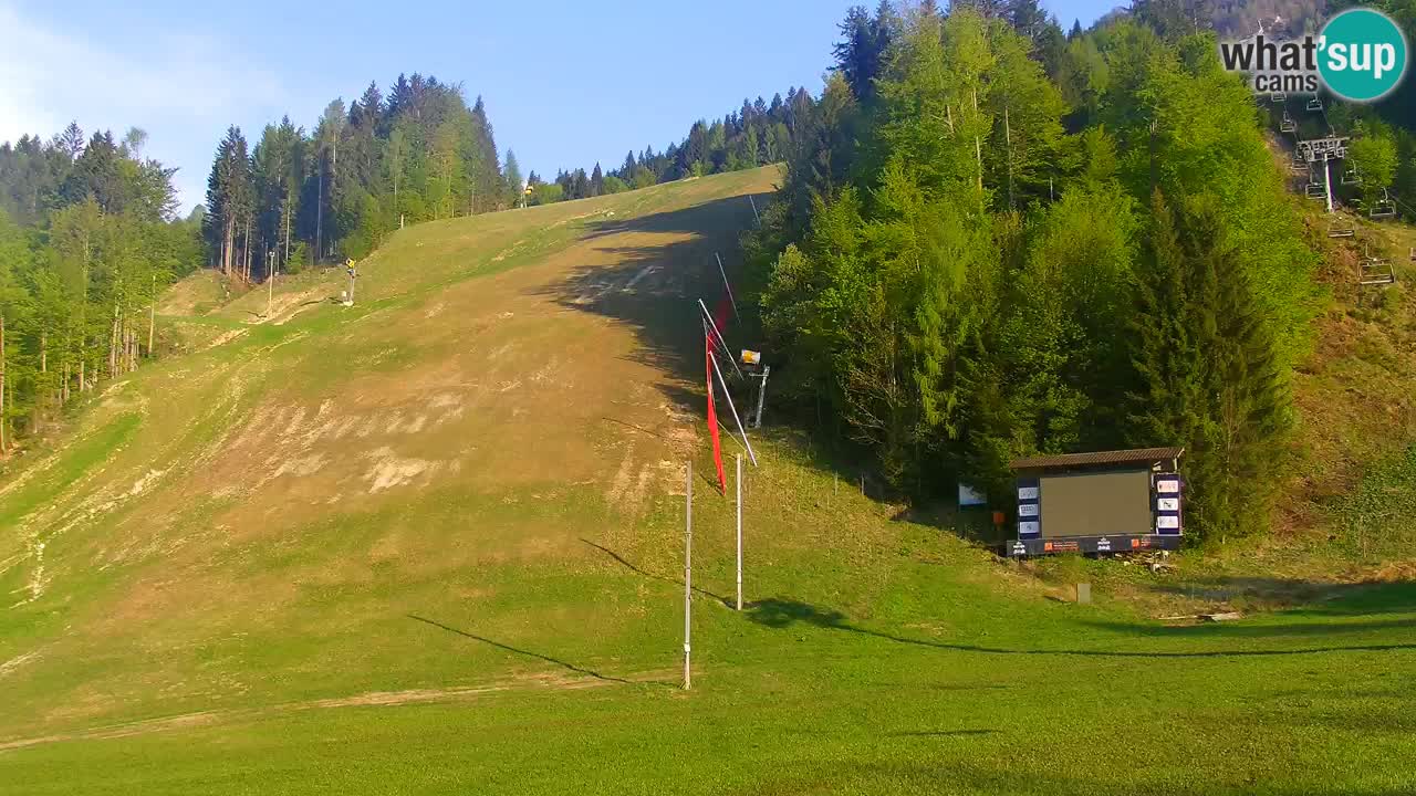 Podkoren / Kranjska Gora – Arrivee slalom géant
