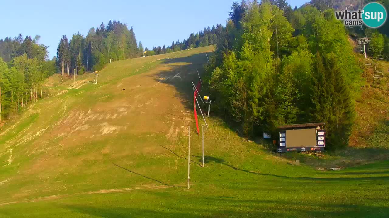 Podkoren Webcam Kranjska Gora | Finish of Giant slalom