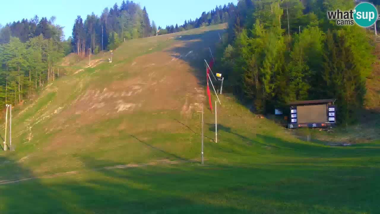 Podkoren Webcam Kranjska Gora | Finish of Giant slalom