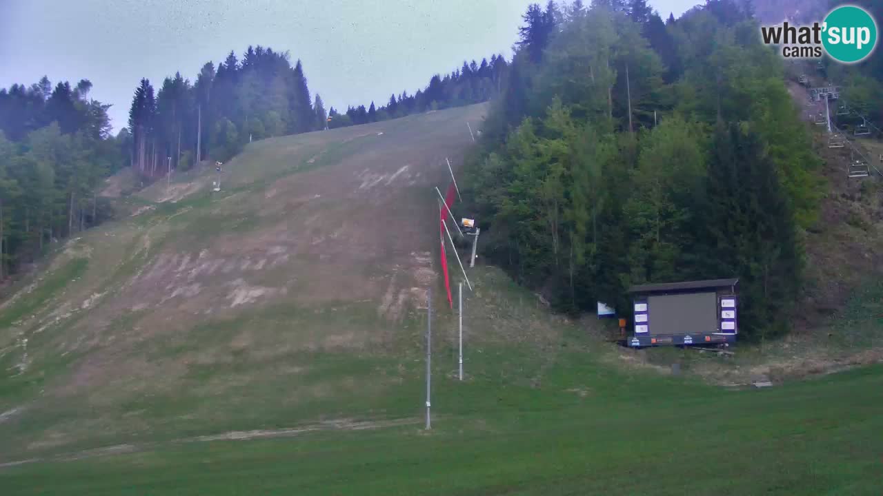 Podkoren / Kranjska Gora –  Meta Slalom gigante