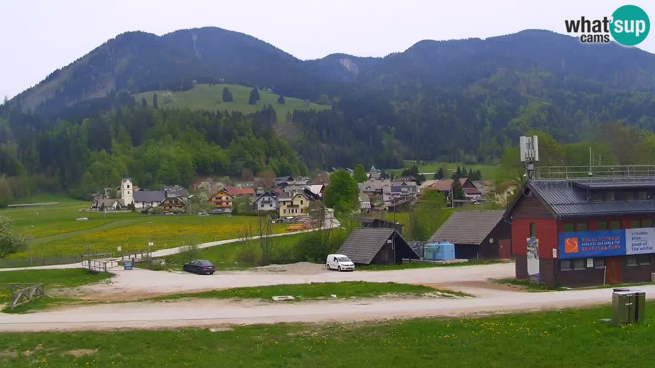 Podkoren / Kranjska Gora –  Meta Slalom gigante