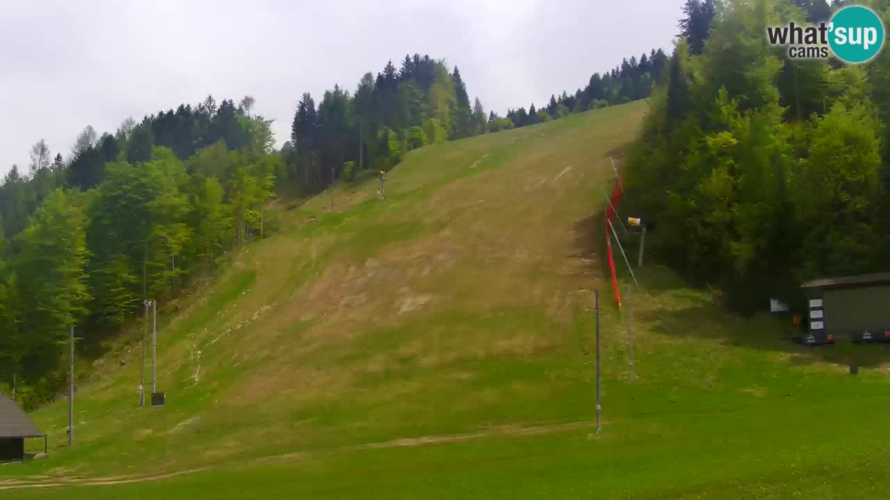 Podkoren / Kranjska Gora – Arrivee slalom géant