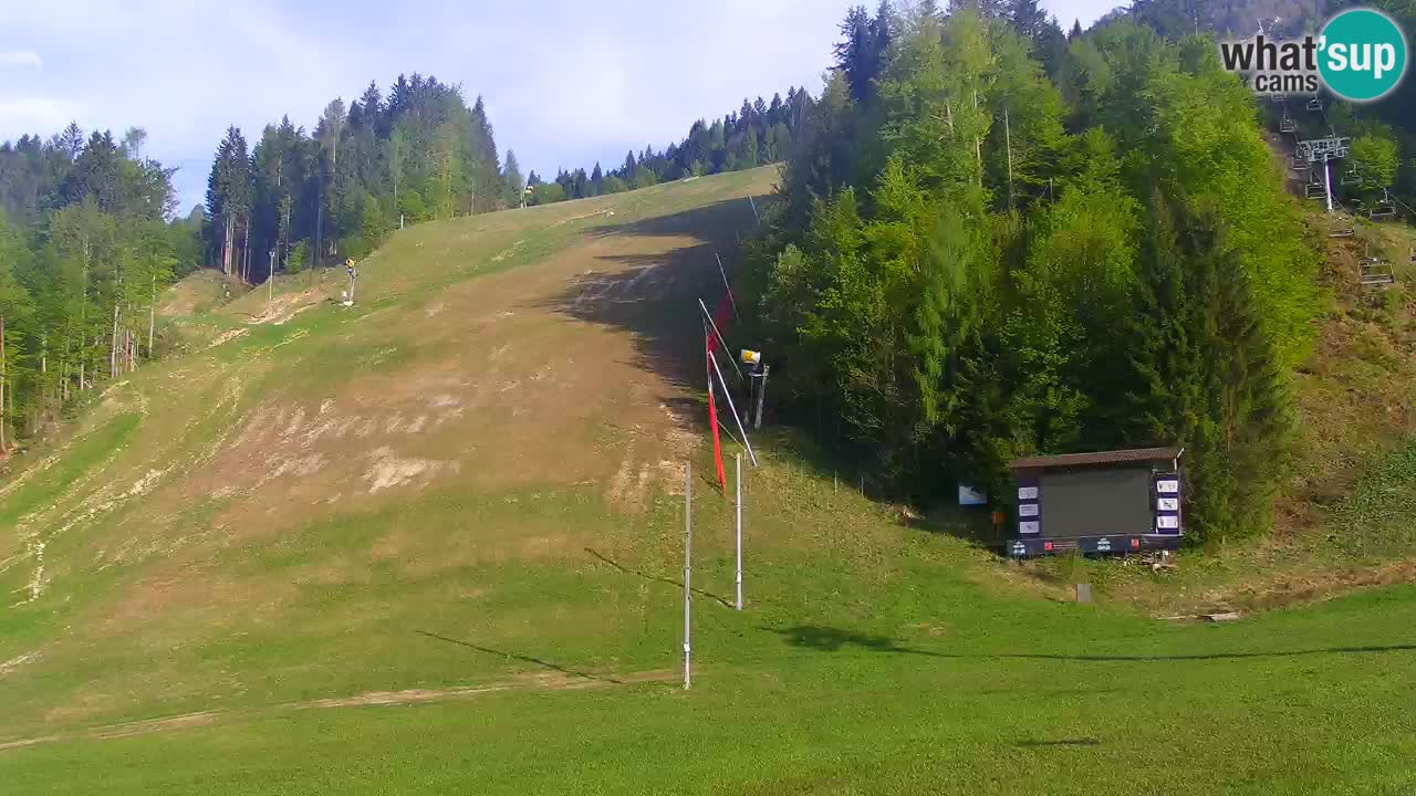 Podkoren / Kranjska Gora – Ziel Riesenslalom