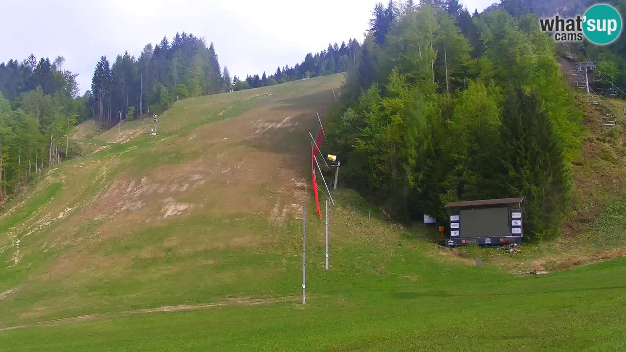 Podkoren / Kranjska Gora – Ziel Riesenslalom