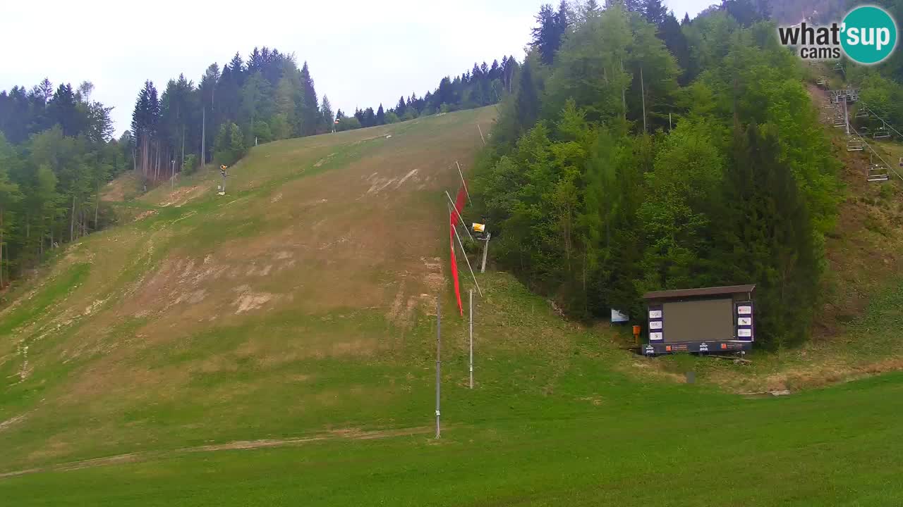Podkoren Webcam Kranjska Gora | Finish of Giant slalom