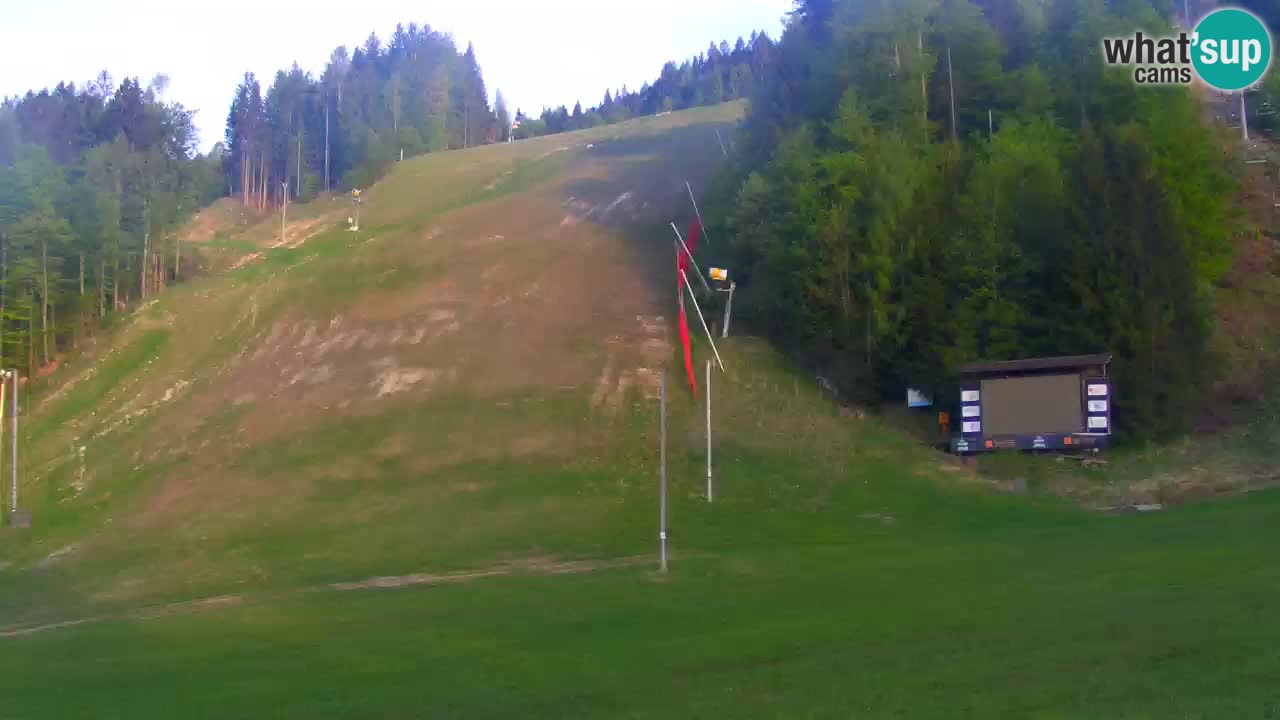 Podkoren / Kranjska Gora – Ziel Riesenslalom