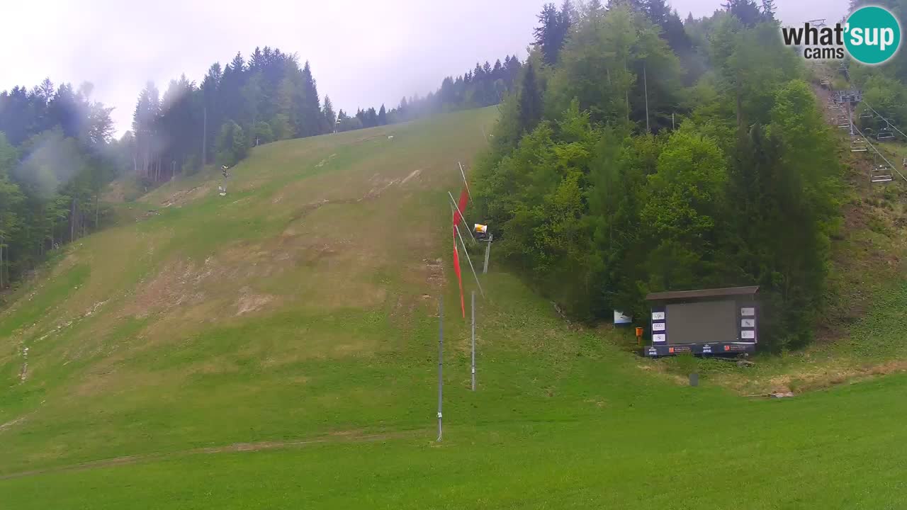 Podkoren / Kranjska Gora – Arrivee slalom géant