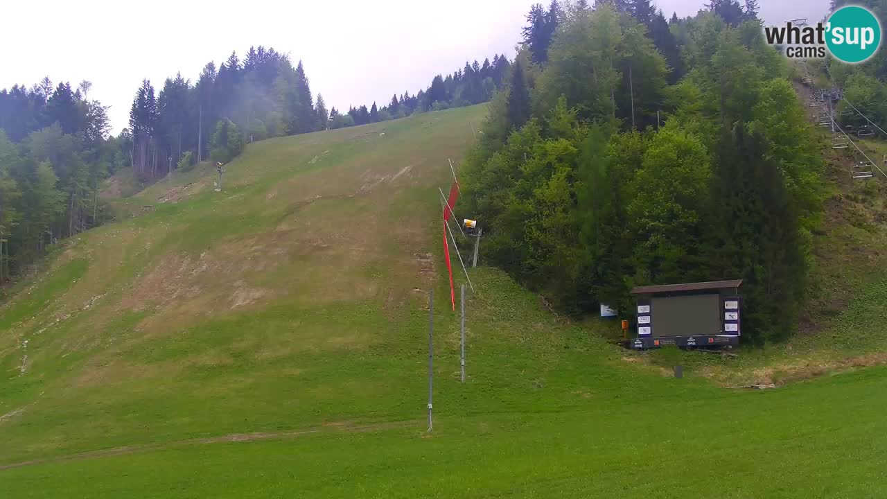 Podkoren slalom géant | Start – Kranjska Gora