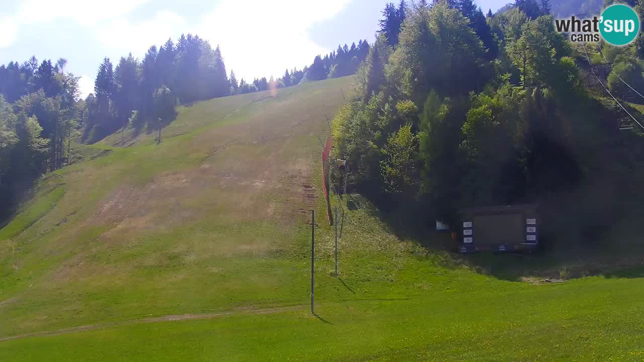 Podkoren Webcam Kranjska Gora | Finish of Giant slalom