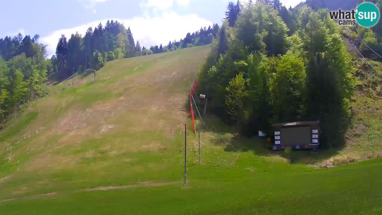 Podkoren / Kranjska Gora –  Meta Slalom gigante