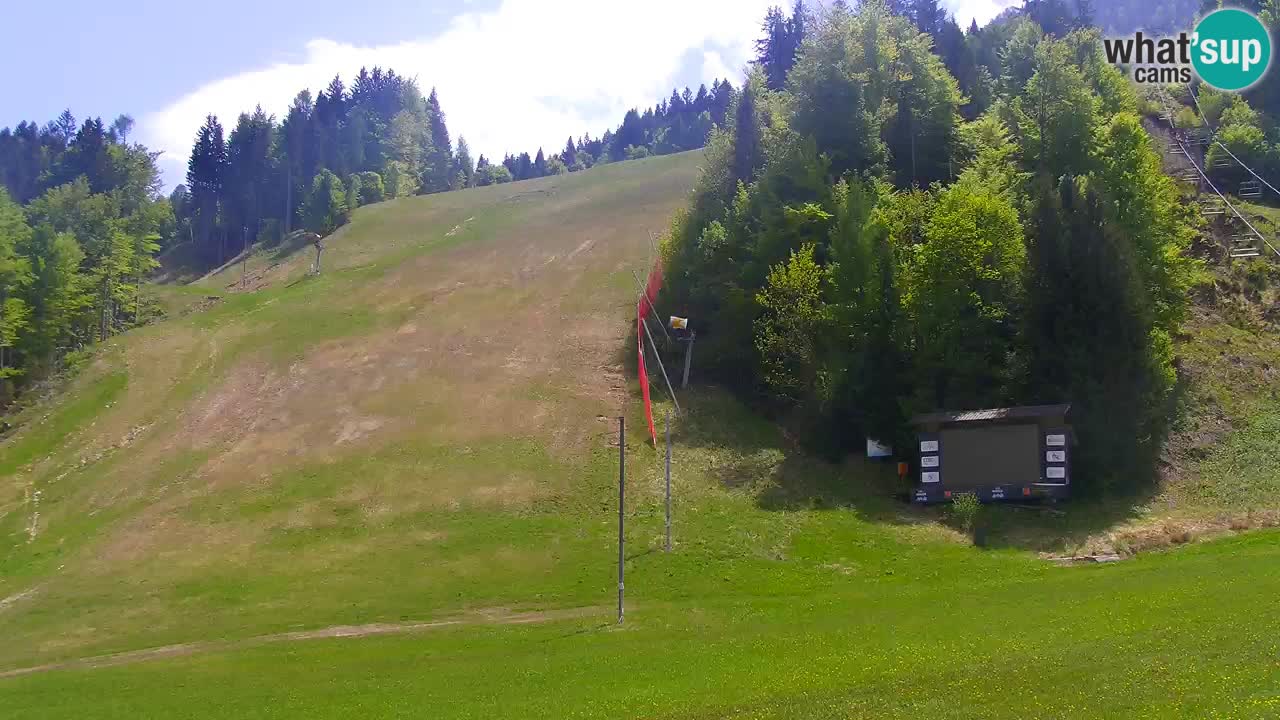 Podkoren / Kranjska Gora –  Meta Slalom gigante