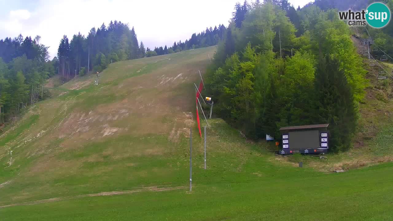 Podkoren / Kranjska Gora –  Meta Slalom gigante