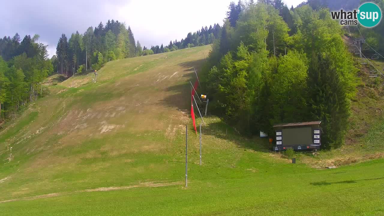 Podkoren / Kranjska Gora – Cilj veleslaloma svjetskog kupa