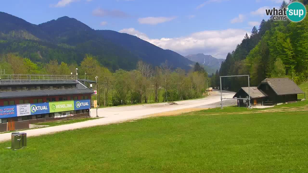 Podkoren / Kranjska Gora – Arrivo slalom gigante