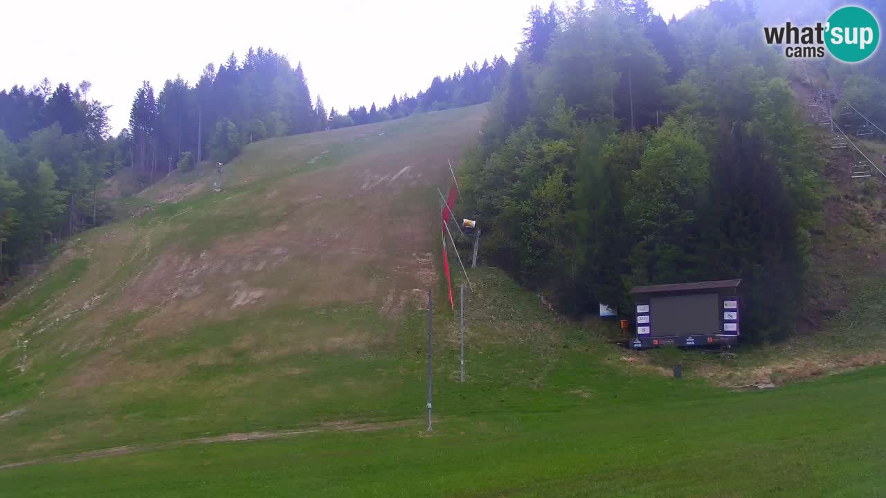 Podkoren slalom géant | Start – Kranjska Gora