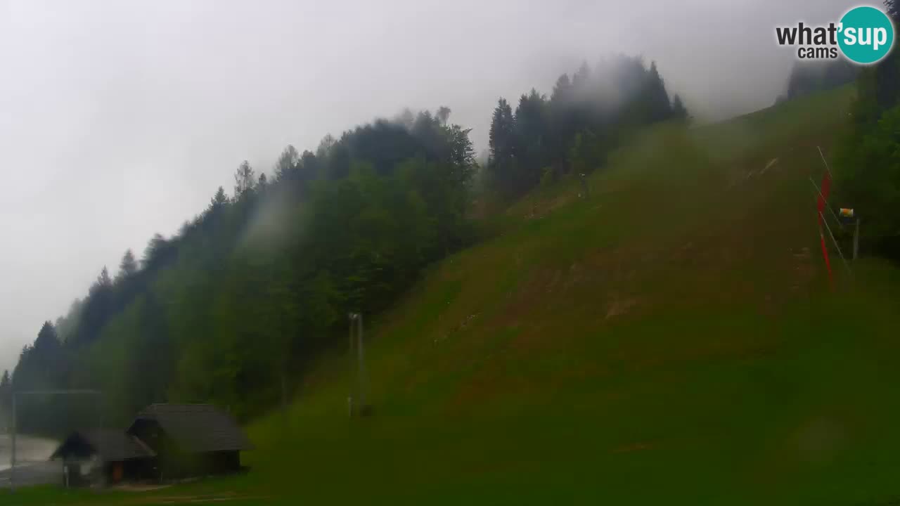 Podkoren / Kranjska Gora – Ziel Riesenslalom