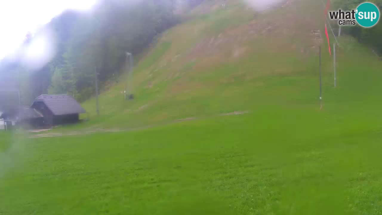 Podkoren Webcam Kranjska Gora | Finish of Giant slalom