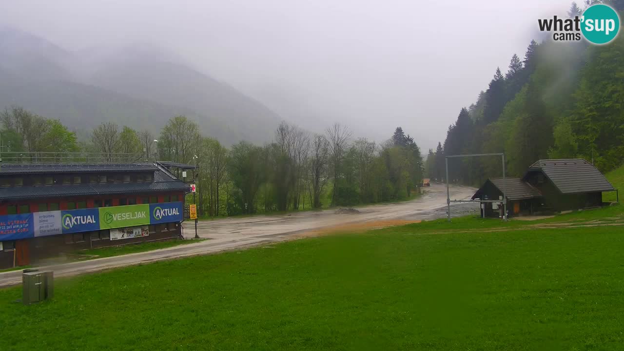 Podkoren / Kranjska Gora –  Meta Slalom gigante